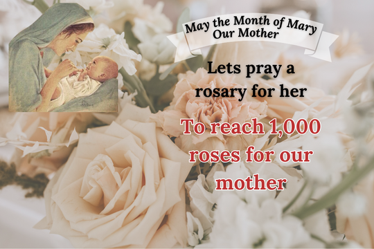 Copy of 2 May the Month of Mary. (540 x 360 px)