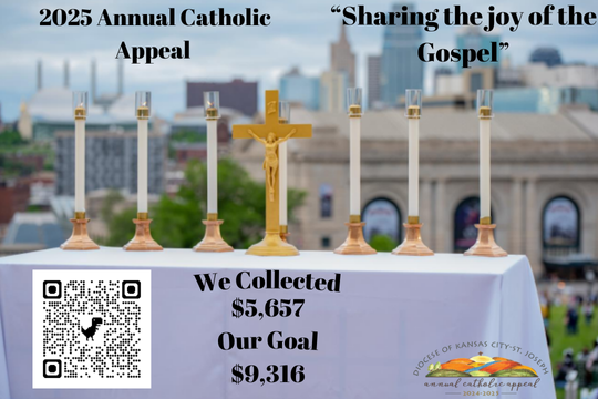 2025 Annual Catholic Appeal Web (5)