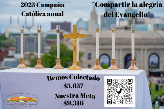 Spanish 2025 Annual Catholic Appeal Web (4)