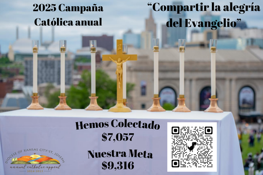 Spanish 2025 Annual Catholic Appeal Web (5)